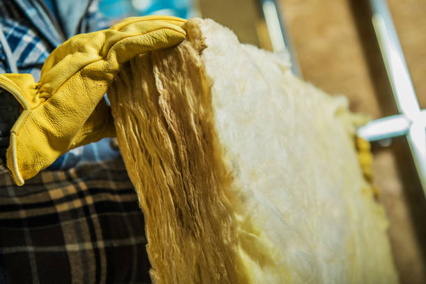 Best Cellulose Insulation in Lake Orion, MI