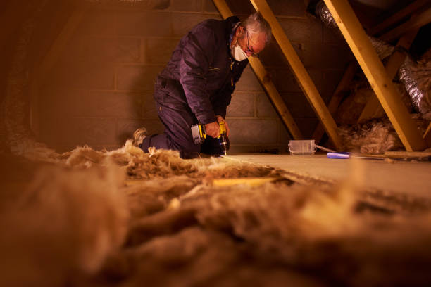 Best Specialized Insulation Services in Lake Orion, MI